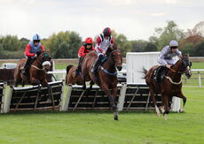 Abi and Brad Divorce Handicap Hurdle