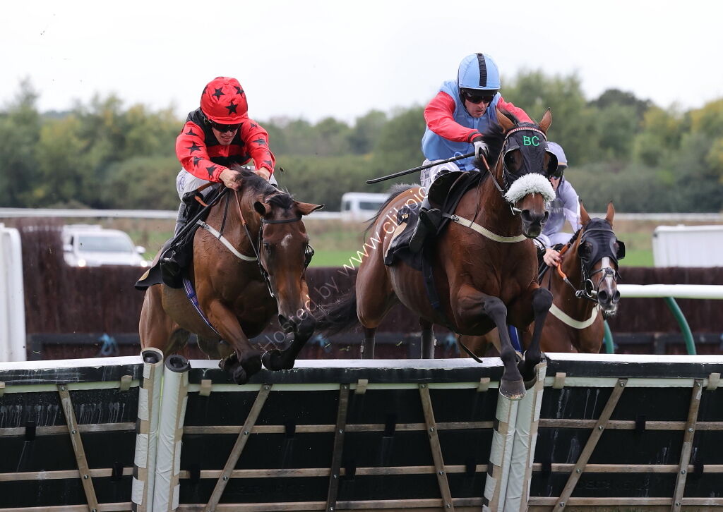 Abi and Brad Divorce Handicap Hurdle