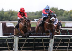 Abi and Brad Divorce Handicap Hurdle