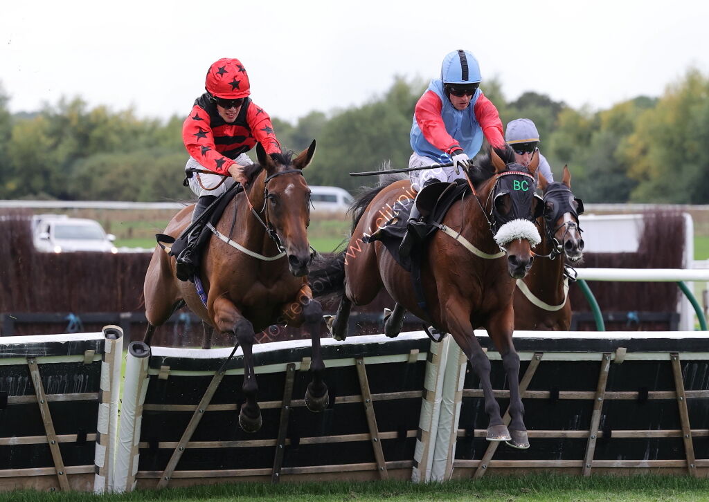 Abi and Brad Divorce Handicap Hurdle