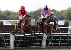Abi and Brad Divorce Handicap Hurdle