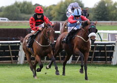 Abi and Brad Divorce Handicap Hurdle
