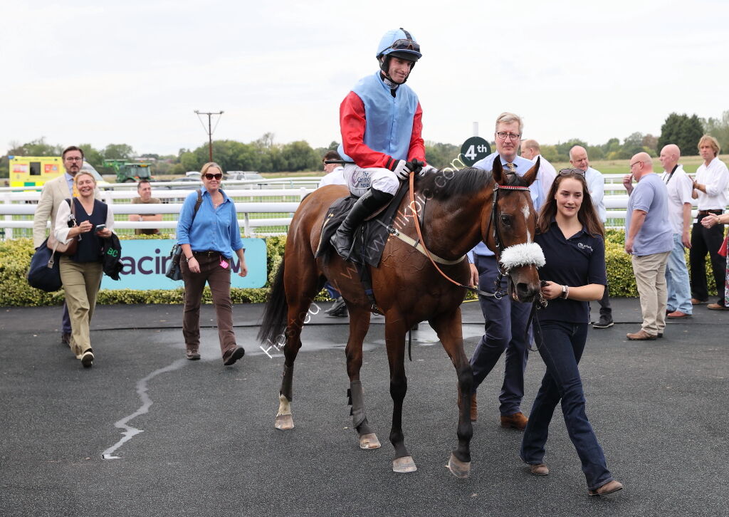 Abi and Brad Divorce Handicap Hurdle