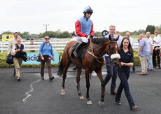 Abi and Brad Divorce Handicap Hurdle