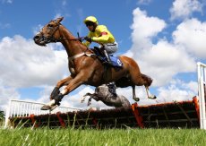 Alyasan (Aiden Coleman)