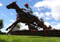 No Win No Fee (Aiden Coleman)