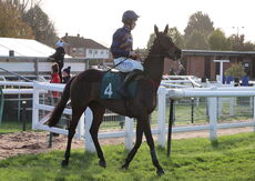 Racing TV Mares' Nov H'cap Chase.