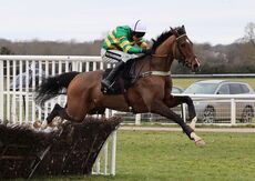 Racing TV Mares' Nov H'cap Chase.