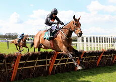 Onagatheringstorm (Paddy Brennan)