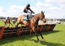 Onagatheringstorm (Paddy Brennan)
