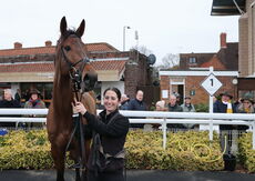 Racing TV Maiden Hurdle (Div 1)