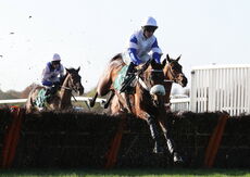 Amy Towers Memorial Mares' Novices' Hurdle