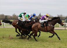 Amy Towers Memorial Mares' Novices' Hurdle