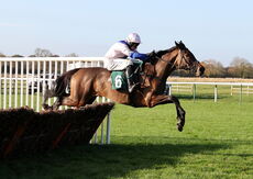 West Balboa (Harry Skelton)