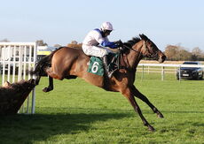 West Balboa (Harry Skelton)