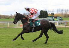Racing TV Novices' Hurdle