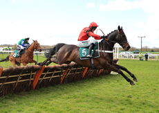 Italian Legend (Nico de Boinville)