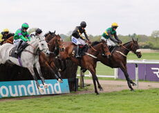 racing TV.com Novices' Handicap Chase