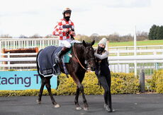 Racing TV Novices' Hurdle