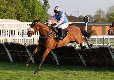 Highflyer Bloodstock Novices' Chase.