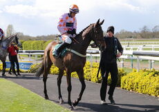 Racing Tv Mares' Nov H'cap Chase.