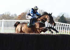 Highflyer Bloodstock Novices' Chase.