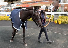 Racing TV Novices' Hurdle