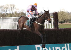 Racing Tv Mares' Nov H'cap Chase.