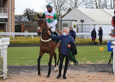 Stephen Allday Perpetual Plate Novices' H'cap Chase.