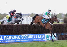 Stephen Allday Perpetual Plate Novices' H'cap Chase.