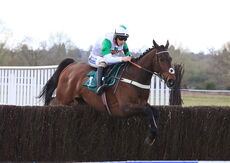 Stephen Allday Perpetual Plate Novices' H'cap Chase.