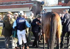 Highflyer Bloodstock Novices' Chase.