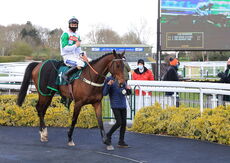 Stephen Allday Perpetual Plate Novices' H'cap Chase.
