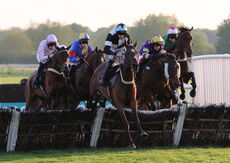 Stephen Allday Perpetual Plate Novices' H'cap Chase.