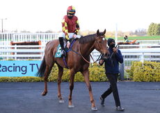 Racing TV Mares' H'cap Hurdle