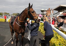 Hazelton Mountford Insurance Handicap Hurdle