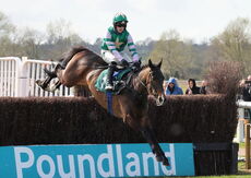Lewis Badges Handicap Chase