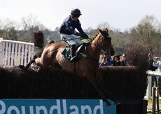Rikoboy (Sam Twiston-Davies)