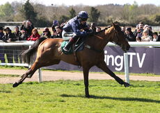 Rikoboy (Sam Twiston-Davies)