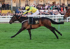 Lewis Badges Handicap Chase