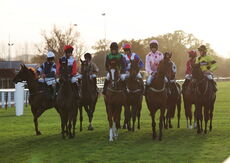 David Nicholson Memorial Fillies" Junior NH Flat Race