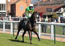 Lewis Badges Handicap Hurdle