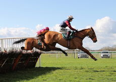 Lewis Badges Handicap Hurdle