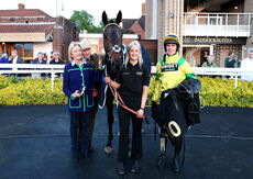 David Nicholson Memorial Fillies" Junior NH Flat Race