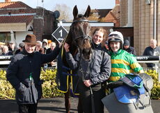Lewis Badges Handicap Hurdle
