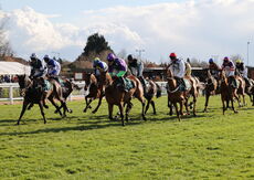 Racing TV Open Maiden NH Flat Race