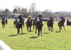 Racing TV Open Maiden NH Flat Race