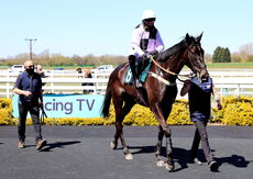 Racing TV Maiden Hurdle