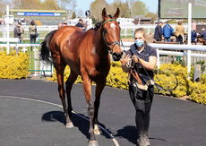 Racing TV Novices' H'cap Chase