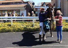 Racing TV .com H'cap Hurdle.
